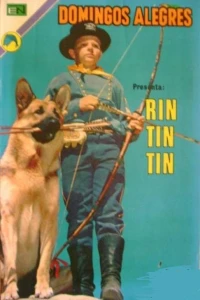 Rin Tin Tin