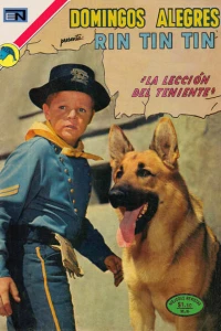 Rin Tin Tin