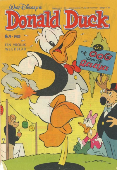 Cover of 't oog van de Radja