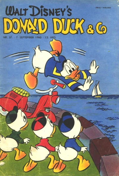 Cover of Issue #196037