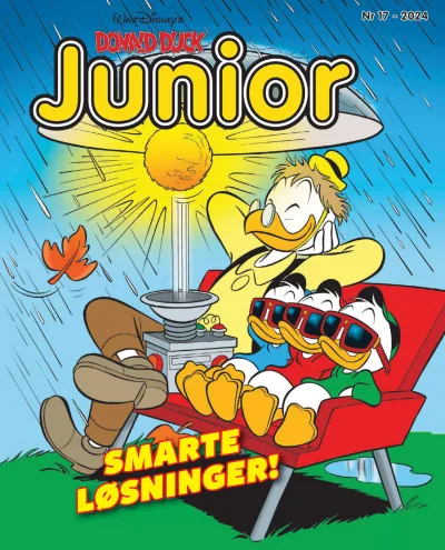 Cover of Smarte løsninger!