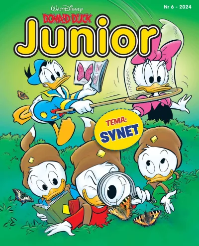 Cover of Tema: Synet