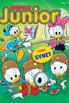 Tema: Synet