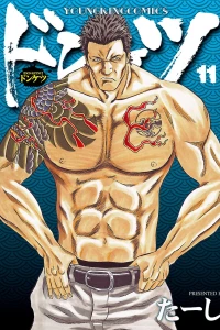 Vol. 11