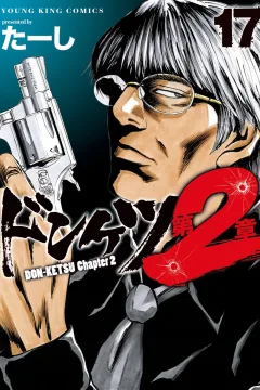 Vol. 17