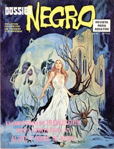 Cover of Issue #61