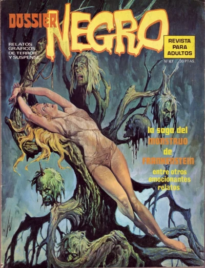 Cover of Issue #67