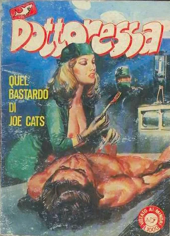 Cover of QUEL BASTARDO DI JOE CATS