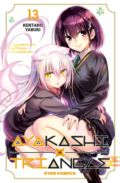 Cover of Ayakashi triangle 13