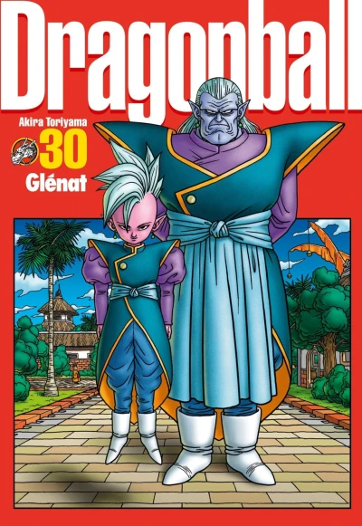 Cover of Tome 30