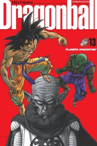 Volumen 13