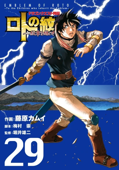 Cover of Vol. 29