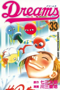 Vol. 33