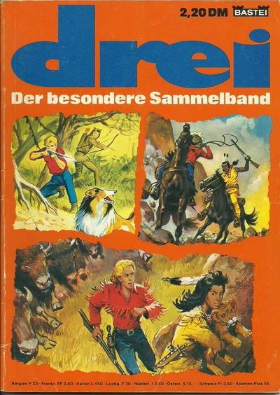 Cover of Steinschlag