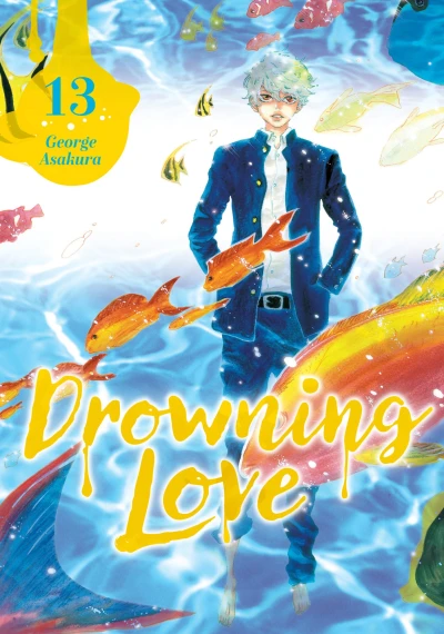 Cover of Vol. 13