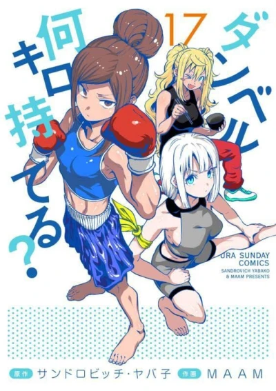 Cover of Vol. 17