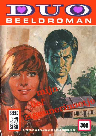 Cover of Mijn lief zigeunerinnetje