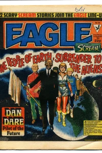 Eagle and Scream 128