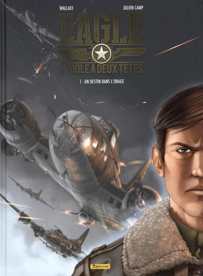 Cover of Un destin dans l'orage