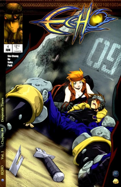 Cover of Desperate Times...