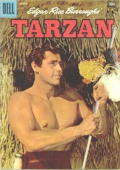 Cover of Tarzan's Risk