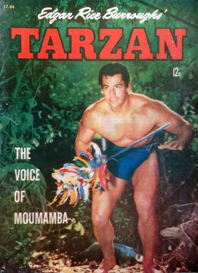 Cover of The Voice of Moumamba