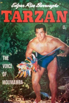 The Voice of Moumamba