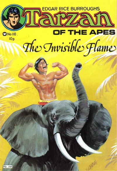 Cover of The Invisible Flame