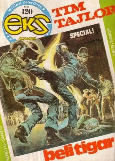 Cover of Issue #120