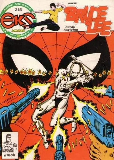 Cover of Issue #315