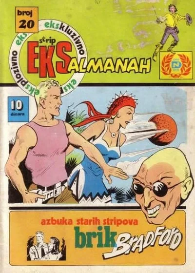 Cover of Brik Bradford