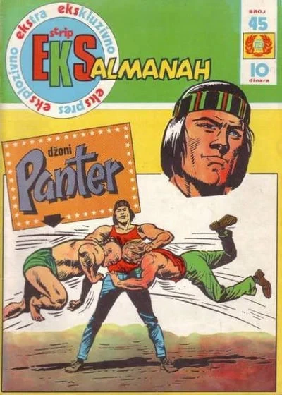 Cover of Dzani Panter