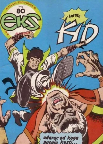 Cover of Karate Kid