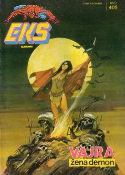 Cover of Vajra zena demon