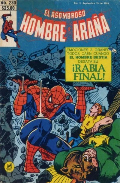 Cover of ¡La Furia Final!