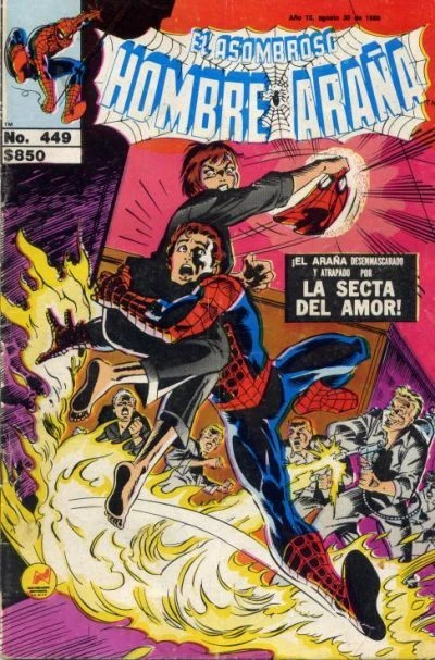 Cover of ¡Esa Antigua Religión!