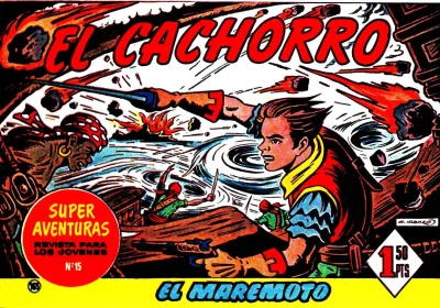 Cover of Issue #163