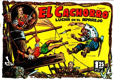 Cover of Issue #19