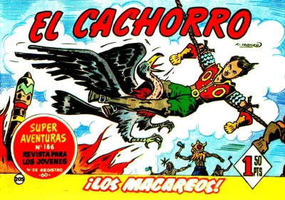 Cover of Issue #205