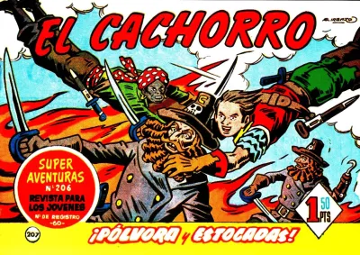 Cover of Issue #207