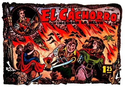 Cover of Issue #29