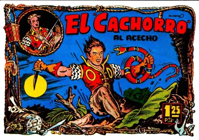 Cover of Issue #79