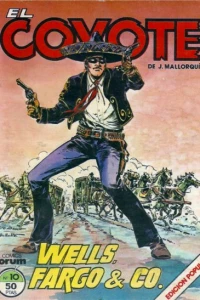 Wells Fargo & Co.