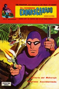 El misterio del Maharajá; Regreso accidentado (1ª Parte)