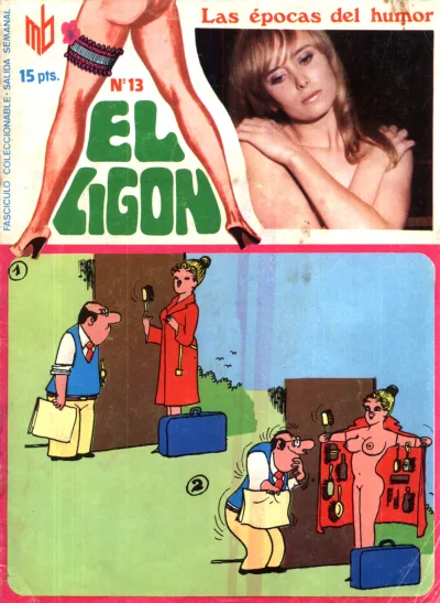 Cover of Issue #13