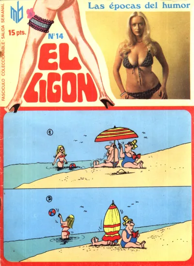 Cover of Issue #14