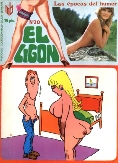 Cover of Issue #20