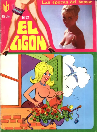 Cover of Issue #21