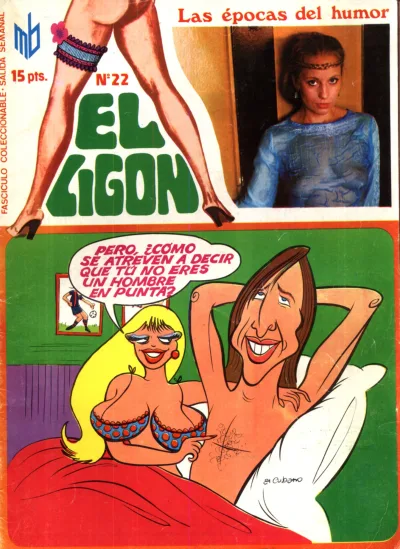 Cover of Issue #22