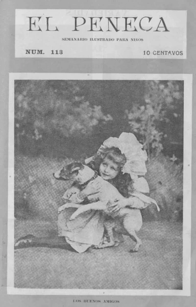 Cover of Issue #113